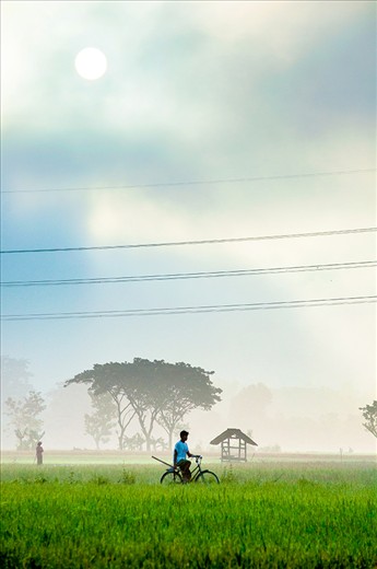 GAWOK is one of traditional village located in Solo, Central Java, Indonesia. Gawok surrounded by lot of paddy fields with a rural life atmosphere which very simple and natural.
