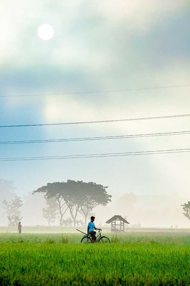 GAWOK is one of traditional village located in Solo, Central Java, Indonesia. Gawok surrounded by lot of paddy fields with a rural life atmosphere which very simple and natural
