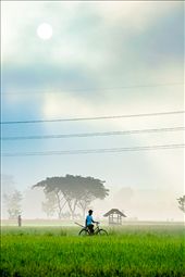 GAWOK is one of traditional village located in Solo, Central Java, Indonesia. Gawok surrounded by lot of paddy fields with a rural life atmosphere which very simple and natural: by yogayudistira, Views[895]