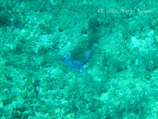 Coral Island Taiwan