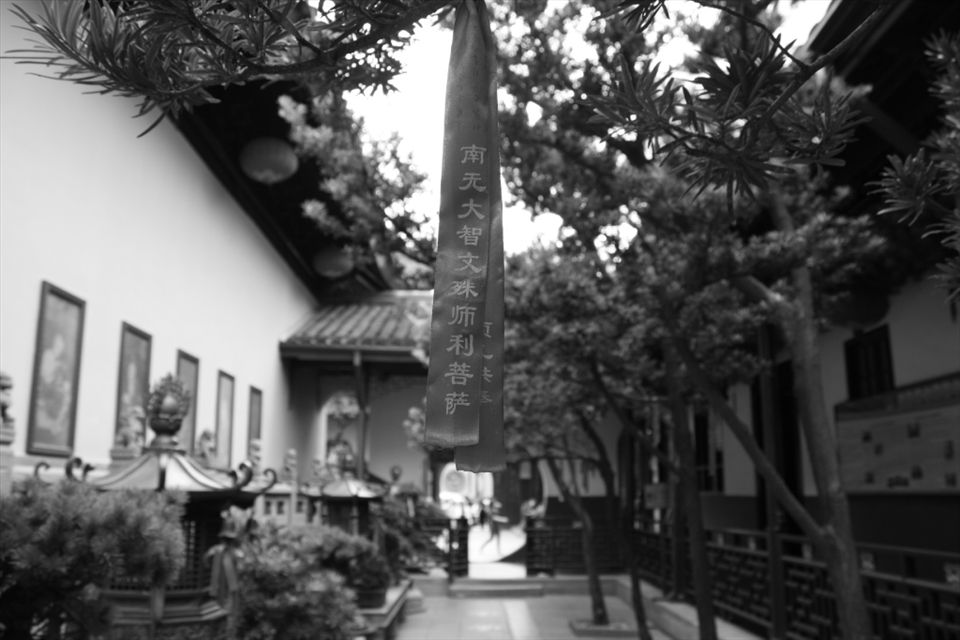 Chinese prayers and phrases hang from every vantage point possible, even from branches of low lying trees.