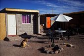 Hostal Millantu; a small hostel  on the edge of town in the San Pedro oasis.: by yourfriendmattg, Views[257]