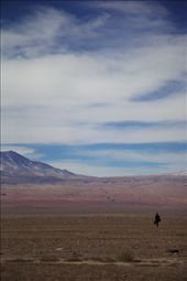 A traveller submits himself to the landscape of the Atacama Desert.: by yourfriendmattg, Views[235]