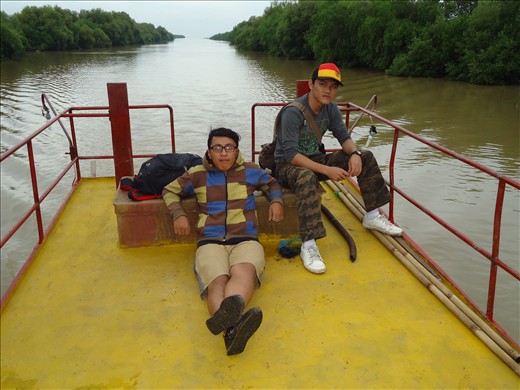hutan mangrove, Blanakan Subang