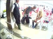 Sinking Venice: by yuliia_haidai, Views[282]