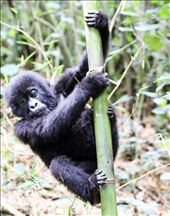 Playing around.: by yvonnebooth, Views[232]