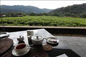 Breakfast with a view: by yvonnebooth, Views[357]