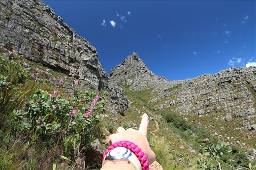 Hike up the Plateklip Gorge on Table Mountain.