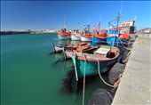 Lamberts Bay, named after the Admiral in the British Navy who charted the coastline between 1826 and 1840.: by yvonnebooth, Views[360]