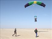 Coming into land: by yvonnebooth, Views[238]