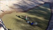 Fishing for catfish, Seeheim: by yvonnebooth, Views[340]