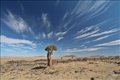 Namib Desert: by yvonnebooth, Views[316]