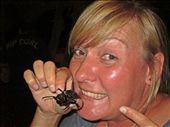 Getting dive bombed by dung beetles : by yvonnebooth, Views[511]