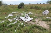 Elephant bones on Elephant Island, Okavango Delta.: by yvonnebooth, Views[722]