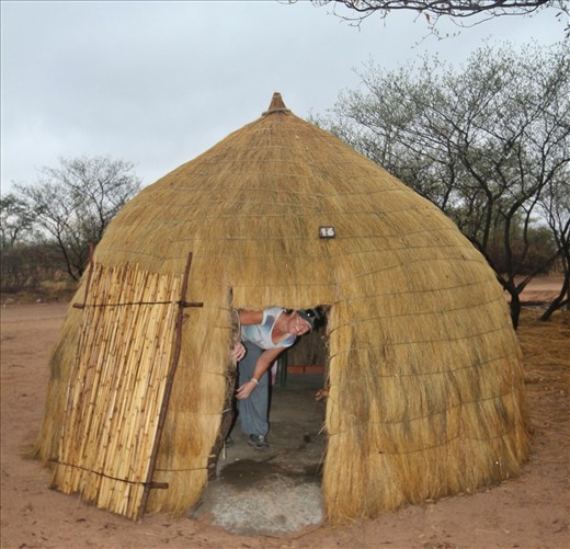 Home for me and a few creepy crawlies for the night.