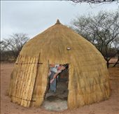 Home for me and a few creepy crawlies for the night.: by yvonnebooth, Views[264]