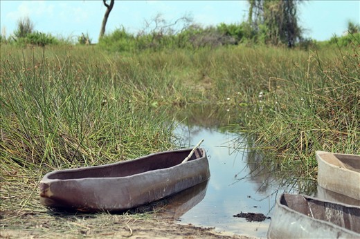 Makoro on the delta. Our swimming hole at the end of the channel.