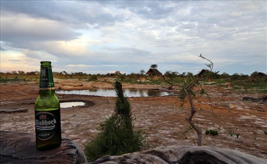 Waiting for the elephants to come at Elephant Sands......