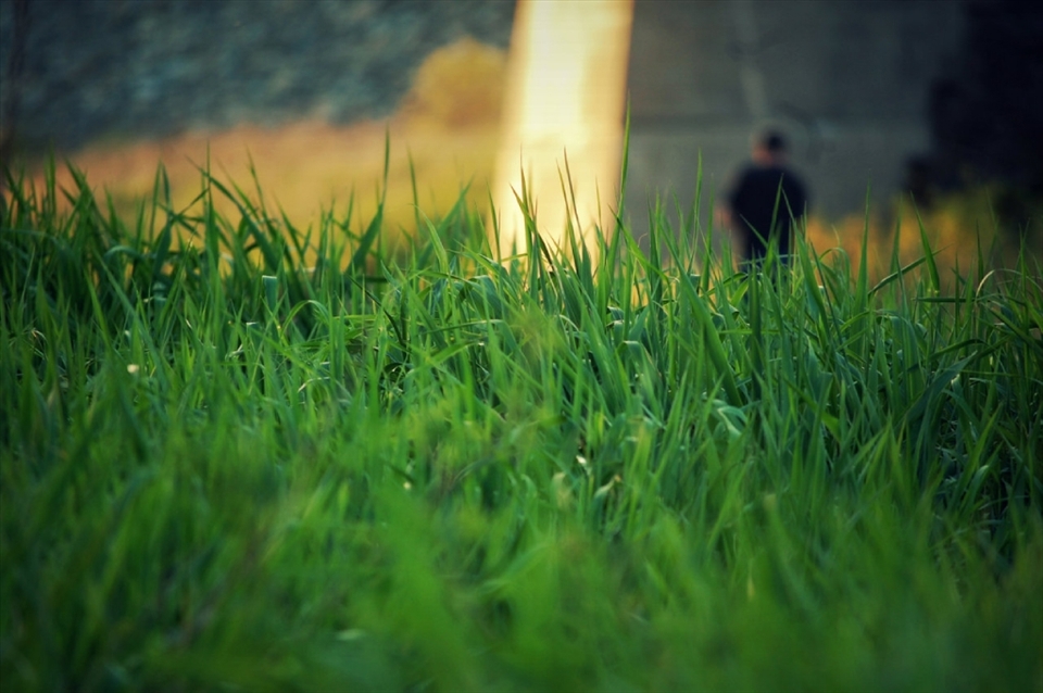 The grass out in the country is so healthy and fresh. Beyond the fields of beautiful grass, a fisherman sits along side of a stream and catches numerous fish. When he reels them in, he simply unhooks them and tosses them back to their home. Fisherman here aren't hunting for their supper or to make a living, but only as a form of meditation and entertainment. 