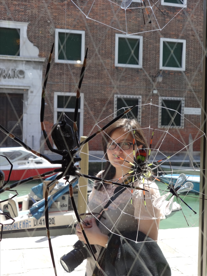 A Lady through the spider and glass caught curious 