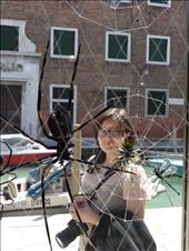 A Lady through the spider and glass caught curious : by zainy, Views[475]