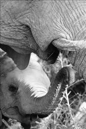 by zanekleyn, Views[207]