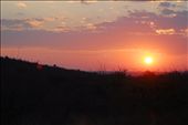 African Sun: by zanetji, Views[234]
