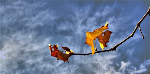 Cycle of change and dear time...