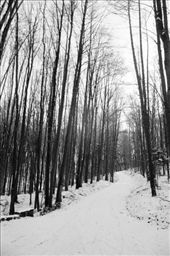 by zazen, Views[182]