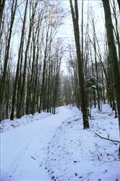 by zazen, Views[192]