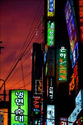 The streets of Korea are always aglow in the colors of neon lights. : by zbeh11, Views[355]