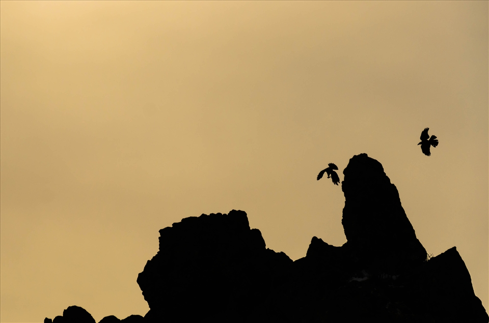 This image was captured on Jirisan, the tallest peak on mainland Korea. 