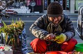 A vendor selling produce in the sea-side town of Masan, South Korea.: by zbeh11, Views[371]
