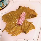 The grape leaf.: by zeats, Views[863]