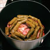 The pot.: by zeats, Views[360]