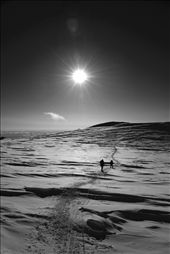 I want follow this way..: by zena-denali, Views[210]