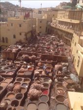 by zer0chick, Views[158]