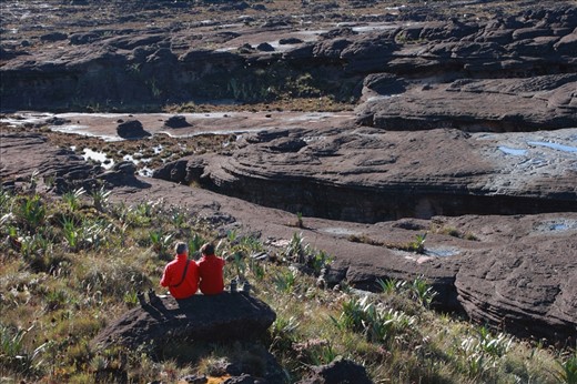 The lost World --  
The tabletop mountains are considered some of the oldest geological formations on Earth.
