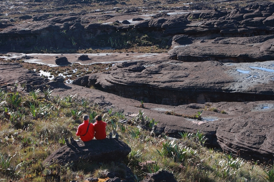 The lost World --  
The tabletop mountains are considered some of the oldest geological formations on Earth.
