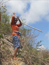 One of the strongest Sasak women was piling dried wood for earning her living: by ziadahjournal, Views[747]