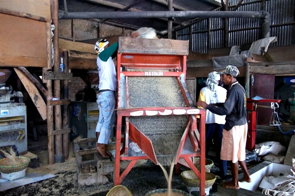 I can eat from them unfortunately their fields are being threatened to be displaced by the local government who irresponsible with their fate.  So I decided to take this photo, although I can not be a winner, at least the world knew there are an important part for Indonesian especially in Indramayu,  West Java.