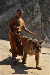 by zieak, Views[174]