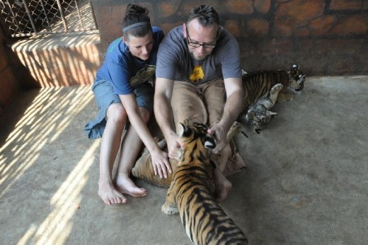 We were able to play and feed the cubs too.