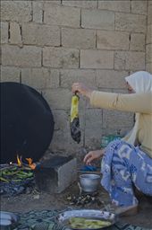 Fires to be lit, aubergines to be grilled, breakfast to prepare: by zingara, Views[152]