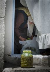 Laying in stores for the winter. Pickling vine leaves.: by zingara, Views[248]