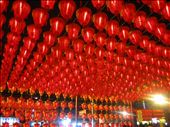 Temple lanterns at the night market: by zioned, Views[224]