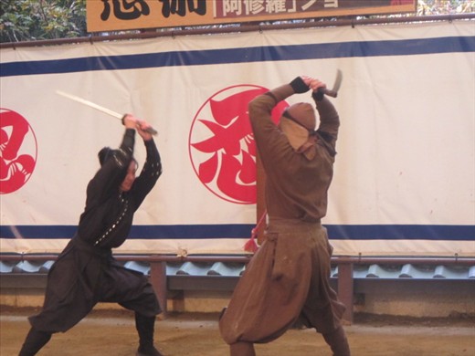 Ninja demonstration at Iga