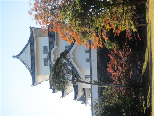 Ueno Castle