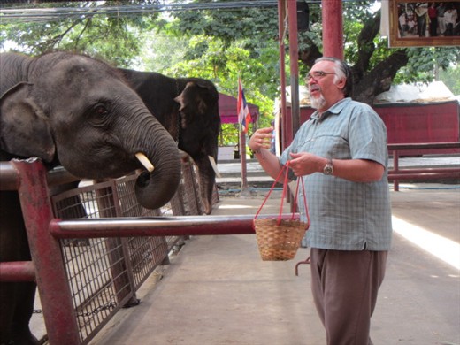 Getting friendly with elephants before taking a ride