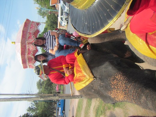 Princess and Bam on their ride